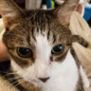 Meet your Posher, Mary reid